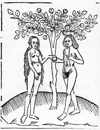 Adam and Eve, illustration from the 